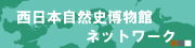 バナー:西日本自然史系博物館ネットワークウェブサイトへ