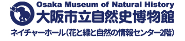 大阪市立自然史博物館　ネイチャーホール（花と緑と自然の情報センター2階）